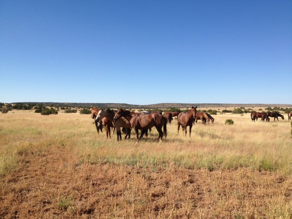 Russell Tank to Flagstaff