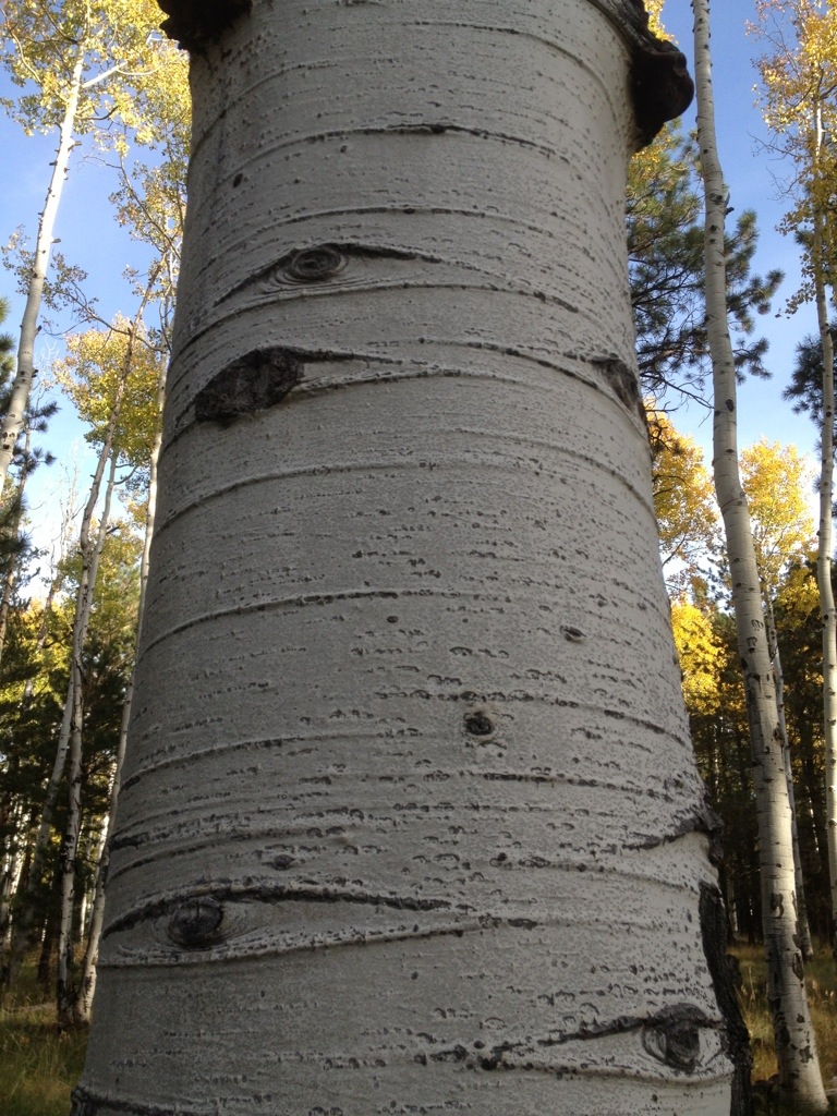 Russell Tank to Flagstaff