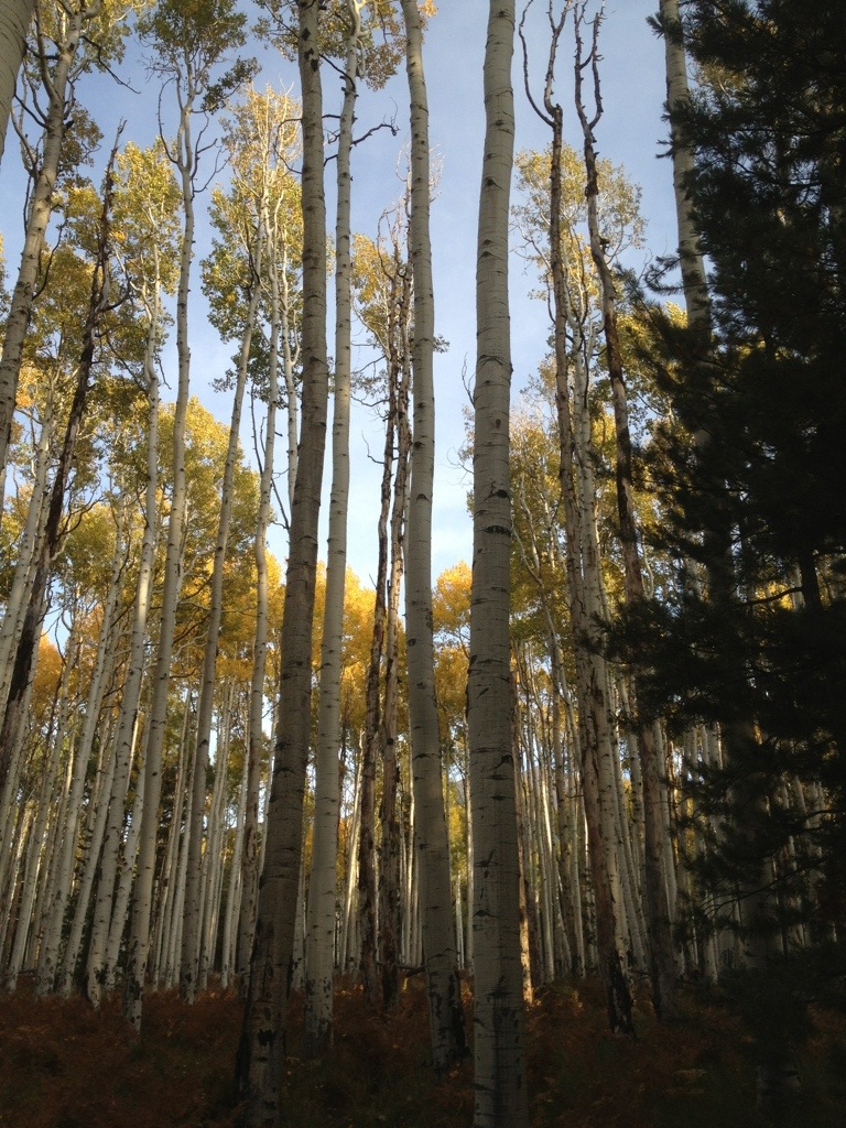 Russell Tank to Flagstaff