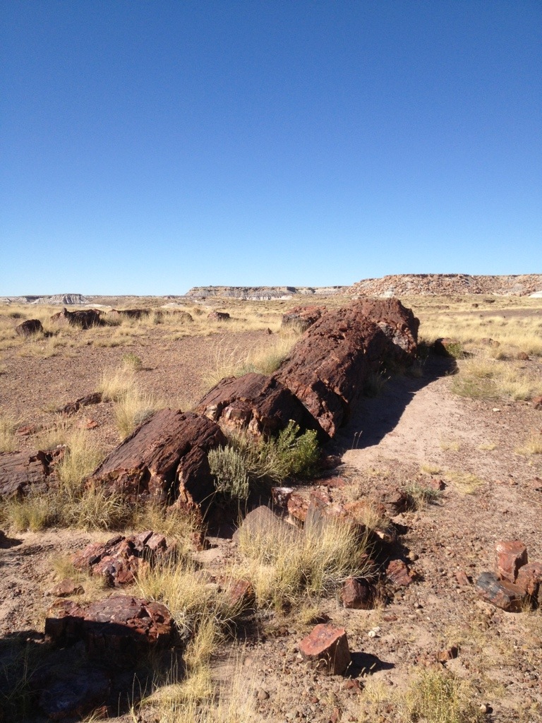 Sideways (Week 2: Winslow to the Hopi Mesas)