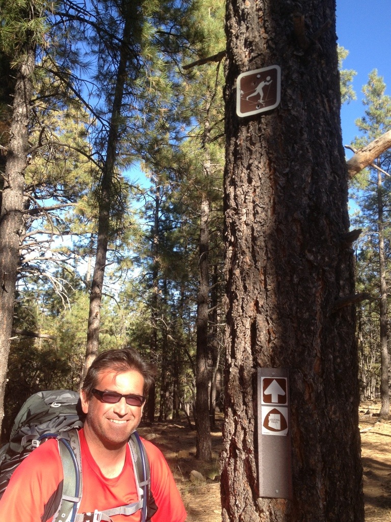 Flagstaff to Mormon Lake:  Back on the trail!