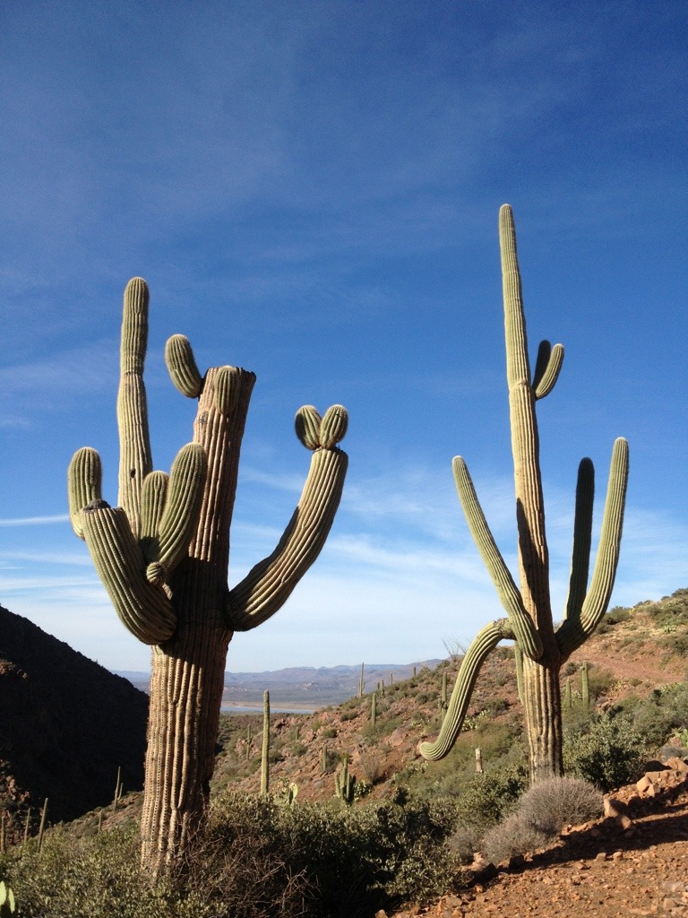 Roosevelt Lake to Roger’s Trough