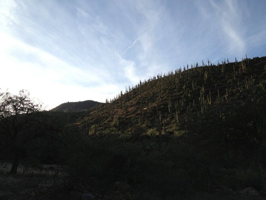 Roosevelt Lake to Roger’s Trough