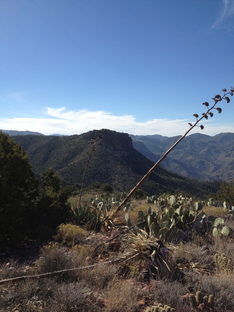 Roosevelt Lake to Roger’s Trough